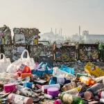 Cosmetici, alcol, plastiche: il costo invisibile della carta sbagliata 2 Cosmetici, alcol, plastiche: il costo invisibile della carta sbagliata 1